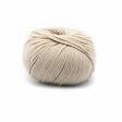 LAINES DU NORD DOLLY MAXI 100% MERINOLANKA 50 g - 87 m - Merino 87 - 31390 - 1
