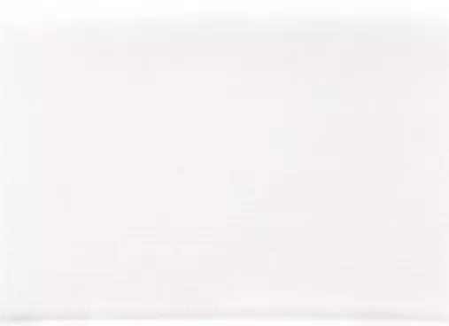 BOKSERI KUMINAUHA 40MM VALKOINEN - Bokserikuminauhat - 30500 - 1