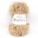 KING COLE MOMENTS-SQUIRREL 12 X 50 G - Moments DK - 28552 - 1