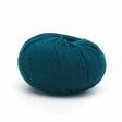 LAINES DU NORD DOLLYNA 100% MERINOLANKA 50 g - 175 m - Merino 175 - 31442 - 1