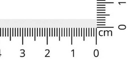 SATIININAUHA 3MM VÄRI 01 - Satiininauha 3 mm - 26682 - 1
