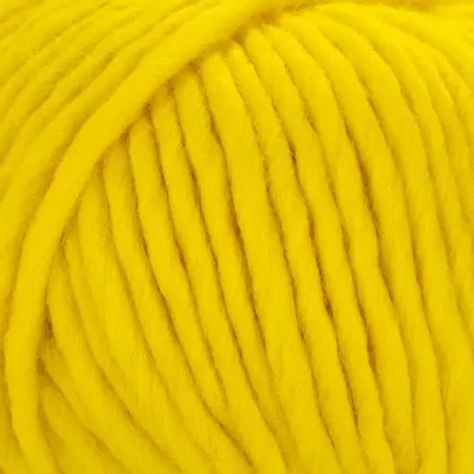 LAINES DU NORD YOUNG&TRENDY SOLID 100% VILLA 100g - 80m VÄRI 300 - Young & Trendy Solid - 35773 - 1