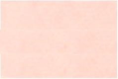 VINONAUHA 20MM - Puuvilla vinonauha 20 mm - 27654 - 1