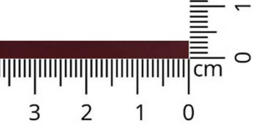 SATIININAUHA 3MM VÄRI 025 - Satiininauha 3 mm - 26694 - 1