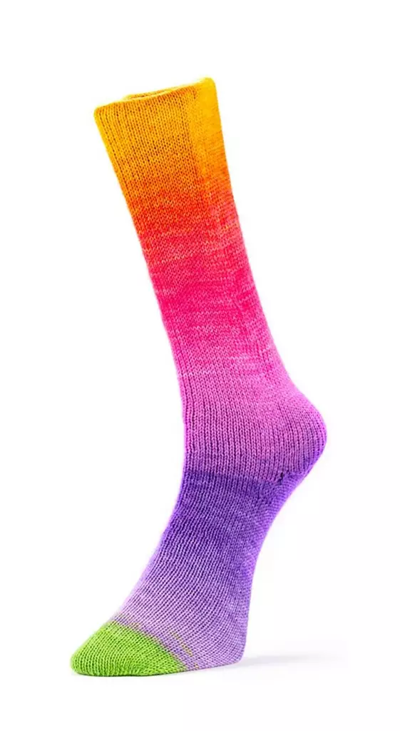 LAINES DU NORD HARMONIOUS SOCKS 4-PLY 75% VILLA 25% NYLON 100g - 420m - Laines du Nord 4-säikeiset sukkalangat - 35924 - 1