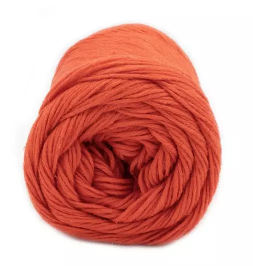 LAINES DU NORD NATURA 100G - 225 M - Natura - 32144 - 1