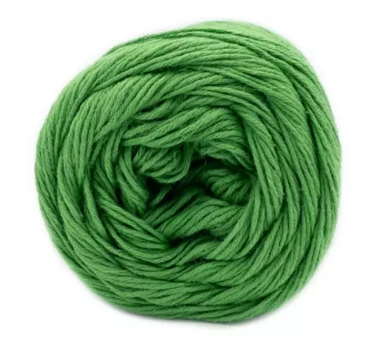 LAINES DU NORD NATURA 100G - 225 M - Natura - 32154 - 1