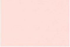 VINONAUHA 20MM - Puuvilla vinonauha 20 mm - 27635 - 1