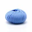 LAINES DU NORD DOLLY 125 100% MERINOLANKA 50g - 125m - Merino 125 - 31346 - 1