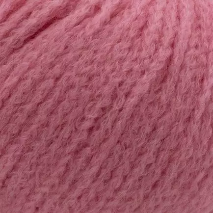 LAINES DU NORD ROZENA 68% MERINOVILLA 17% KASMIRVILLA 15% NYLON 10 x 25 g - Rozena - 36038 - 1