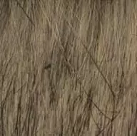 POMPONS TUPSU 12CM BEIGE MIX F416200-12-23 - 12 cm - 28268 - 1