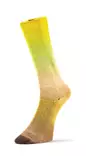 LAINES DU NORD HARMONIOUS SOCKS 4-PLY 75% VILLA 25% NYLON 100g - 420m - Laines du Nord 4-säikeiset sukkalangat - 35929 - 1